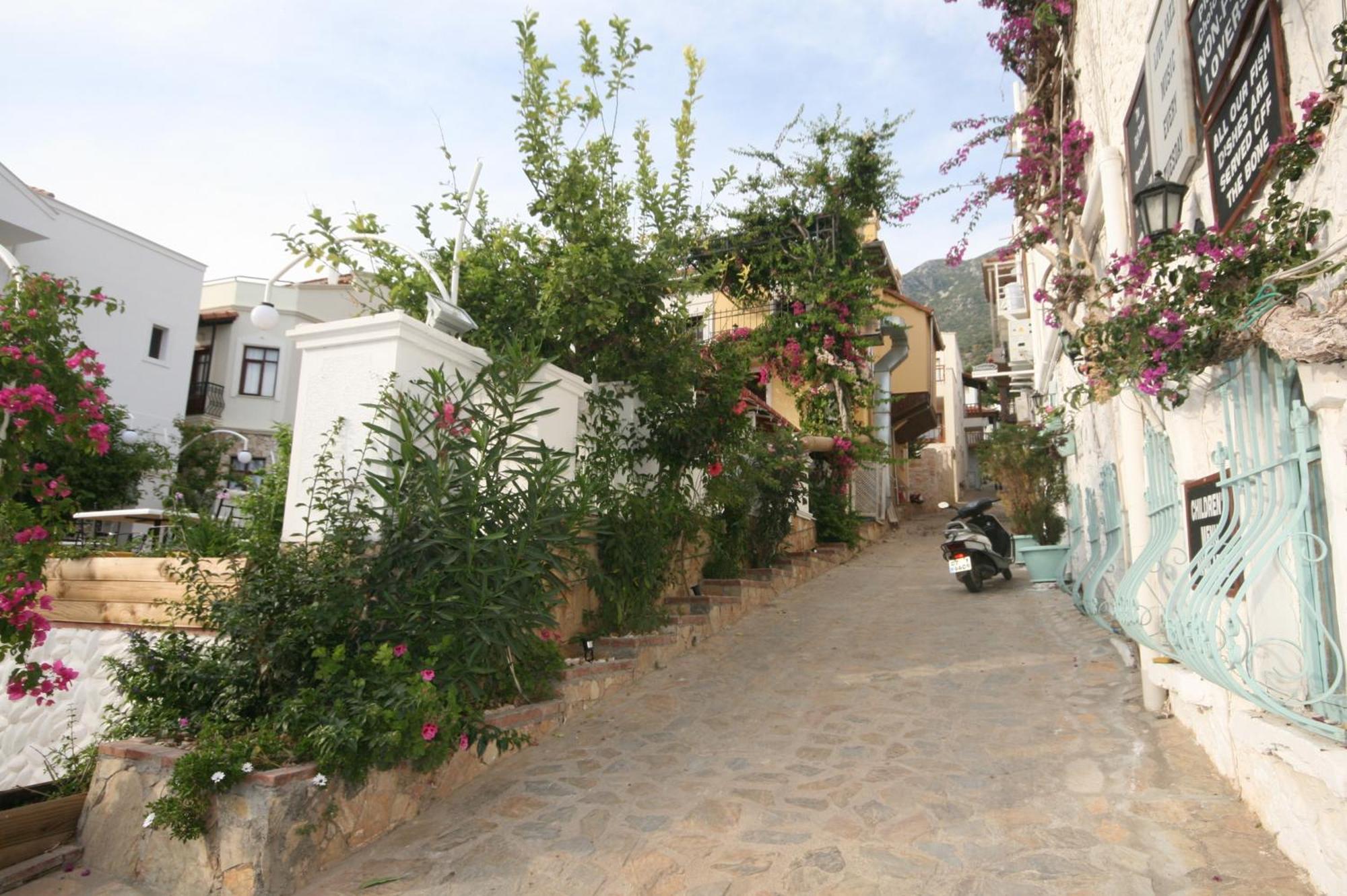 Smart Aparts Kalkan Exteriör bild