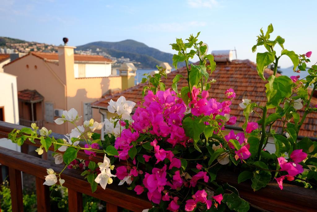 Smart Aparts Kalkan Exteriör bild